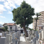大阪市旭区の森小路墓地で墓石への文字彫刻