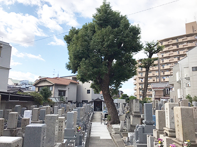 大阪市旭区の森小路墓地で墓石への文字彫刻